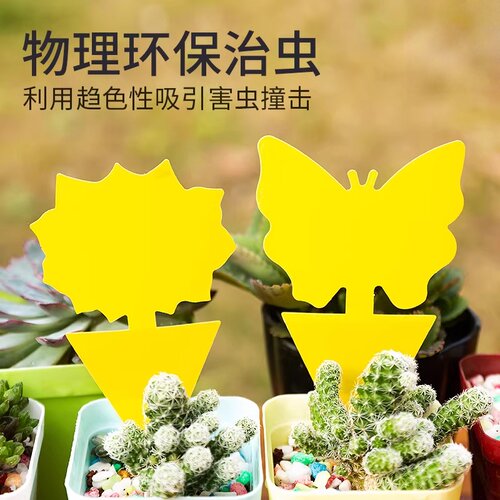 小黄板双面粘虫板无毒长期有效