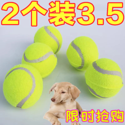 狗狗玩具球自嗨解闷神器