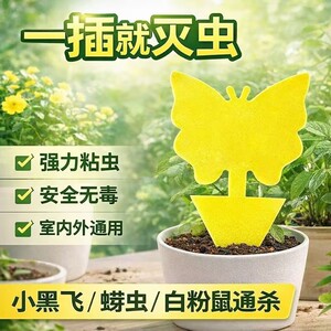 强力双面黄色果蝇诱虫板