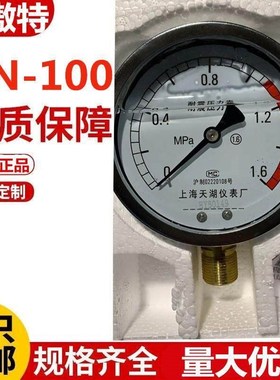 上海天湖YN100耐震压力表 0-0.6 1 1.6 2.5 4 6 10MPA抗震油液压