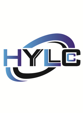 LEM莱姆霍尔电流传感器HAS500-S 600-S 400 300-S 200- 50-S/SP50