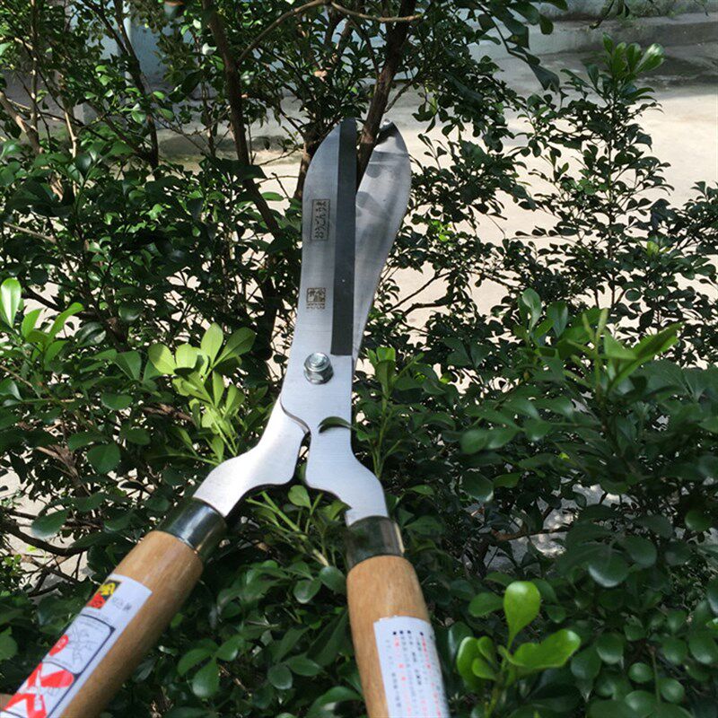 日本黄金马进口大草剪刀树枝剪花枝草坪除草园艺剪木柄绿篱修枝剪