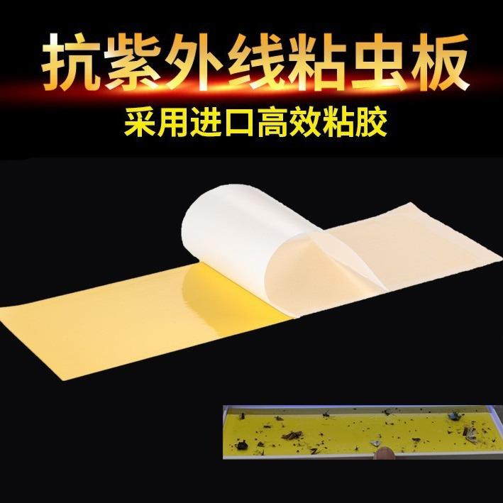 粘捕式灭蝇灯粘纸灭蚊灯粘纸专用粘蝇纸粘虫板诱杀灭蝇灯粘纸家用