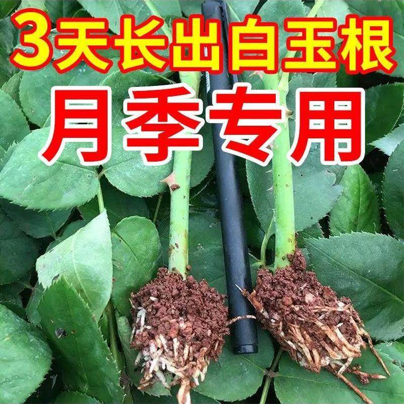 生根药水复活液枯树再生液【扦插神器】月季专用生根剂生根壮苗剂