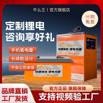 牛么王极核小牛电车锂电池