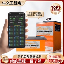 牛么王磷酸铁锂电动车电三轮电四轮老年代步车锂电池电瓶电摩