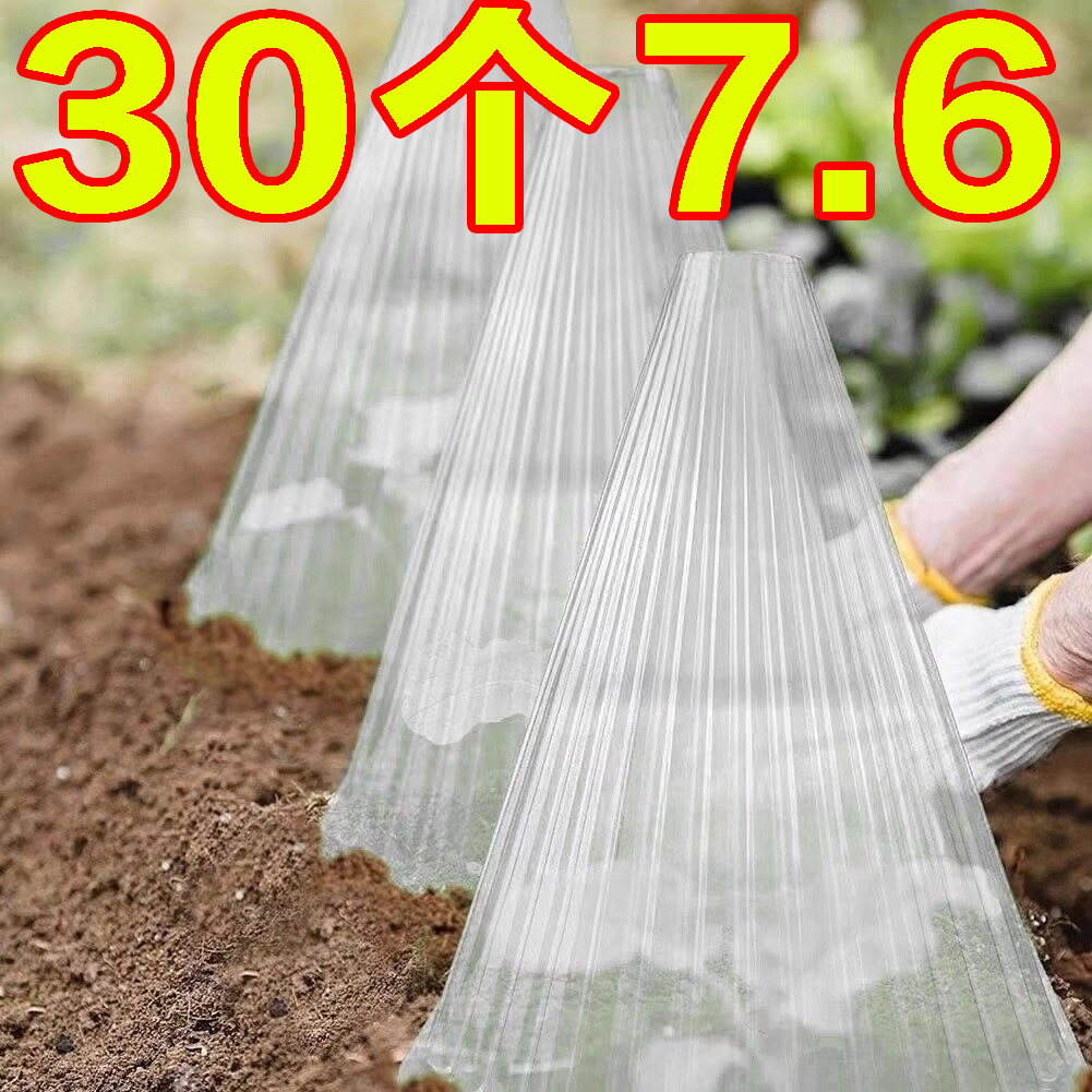 蔬菜植物罩瓜苗菜苗秧苗大鹏育苗保温防虫鸟防霜冻保护罩冬春通用