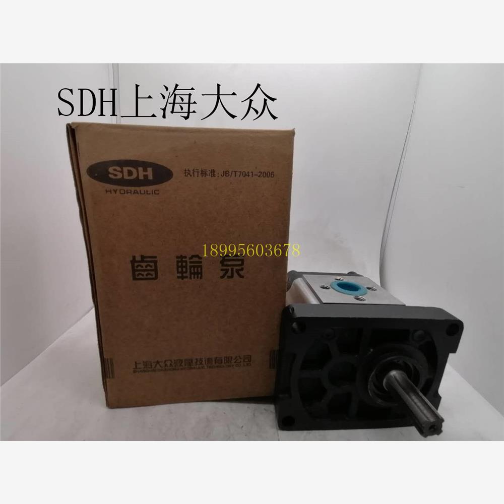 SDH上海大众齿轮泵CBTt-F