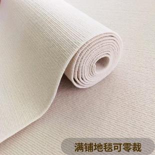 家用加厚地毯客厅卧室摄影棚办公室现代简约地毯耐脏易打理大面积