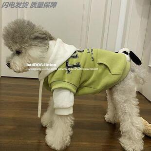 缅因猫咪衣服秋冬天保暖过冬加厚幼猫防掉毛可爱公猫帅气猫咪衣服