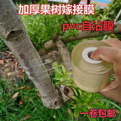 PVC加厚嫁接专用膜 无需打结薄膜 环保绑带果树苗木包扎带 自粘膜