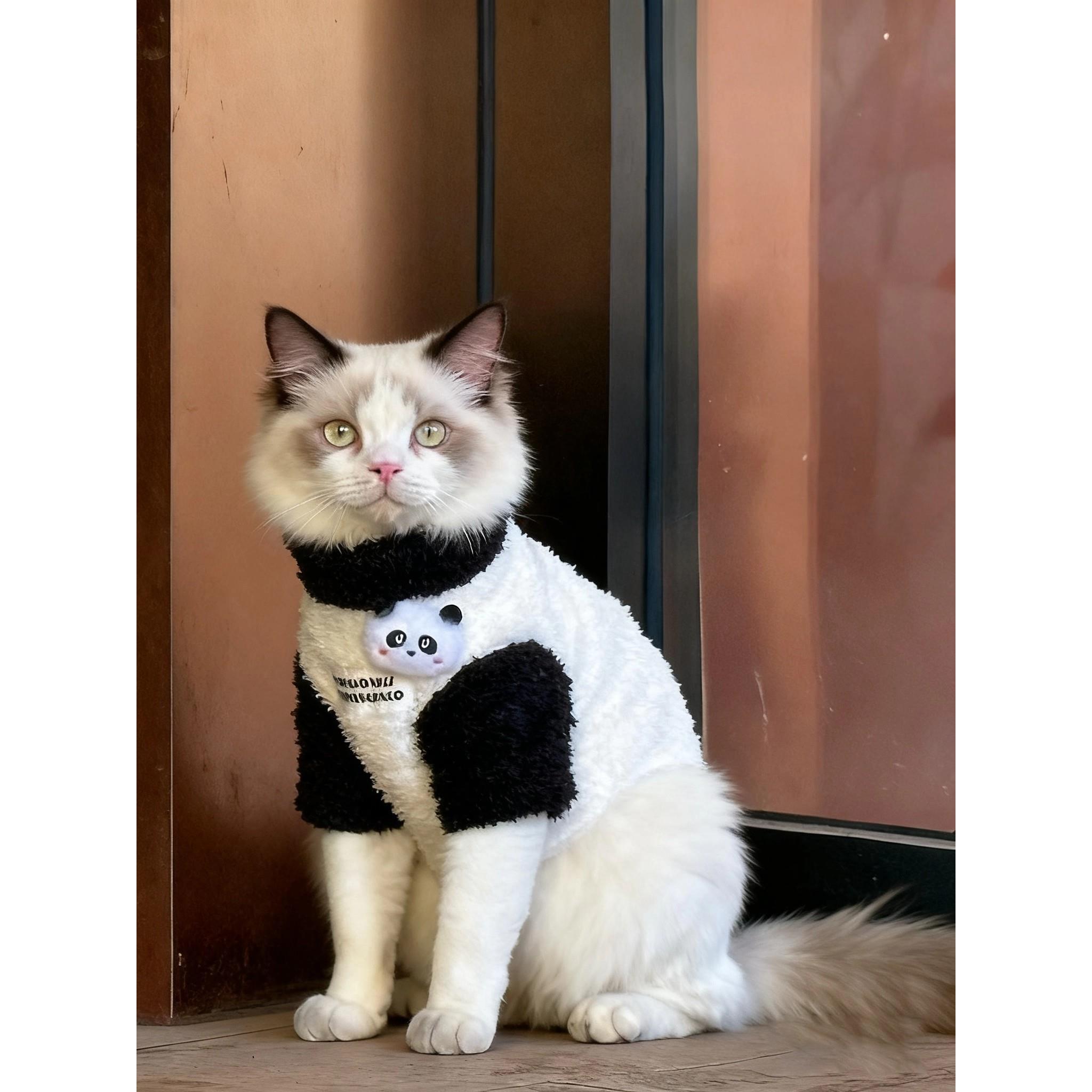 宠物猫咪衣服秋冬季新款保暖加绒加厚两脚衣小型犬比熊棉衣防着凉