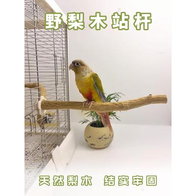 小太阳杜鹃鹦鹉天然野生梨木站杆站架鸟笼配件栖木树杈生态造景