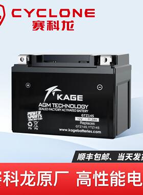 赛科龙RX1 RX1S RA2 RT2 RX4 RZ3S RG3 RE3 RT3 RC401摩托12V电瓶