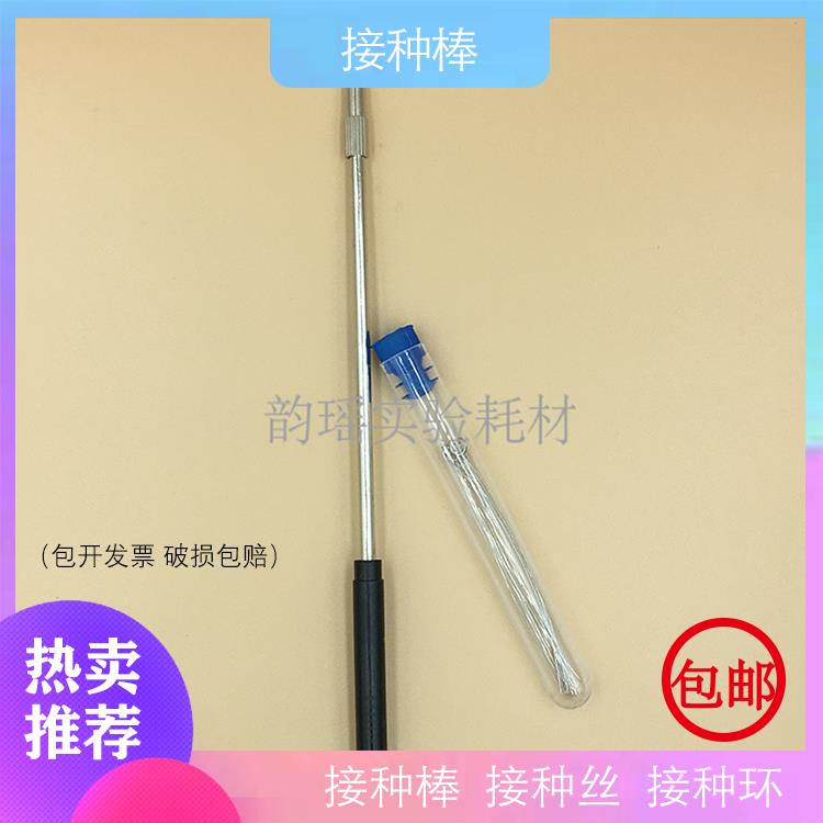 金属接种棒 细胞细菌接种环 实验室金属棒送接种丝镍铬丝
