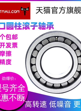 HBFP NU2311 2312 2313 2314 2315 EW EM C3圆柱滚子轴承