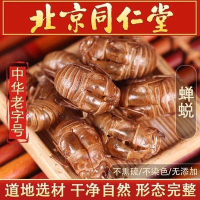 野生蝉蜕500g克中药材衣新