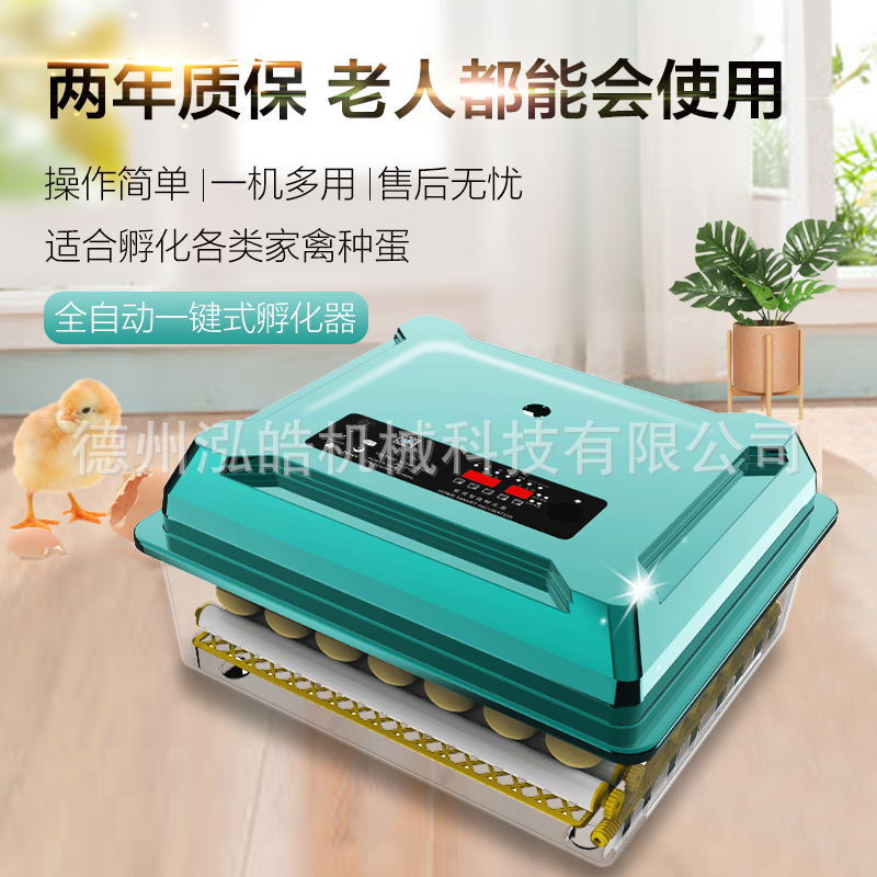 外贸孵化器小型家用全自动小鸡鸭鹅鸟蛋箱儿童实验机械科教