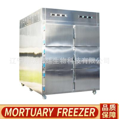 Morgue Freezer6具标本冷冻柜太平间死人保存防腐六门尸体冷藏箱