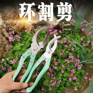 五金园林工具果树剥皮器修枝剪环切枝剪刀绿化扒皮刀环割刀环割剪