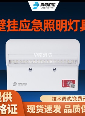 北大青鸟消防应急指示灯J-ZFJC-E3W-17B2壁挂应急照明灯具