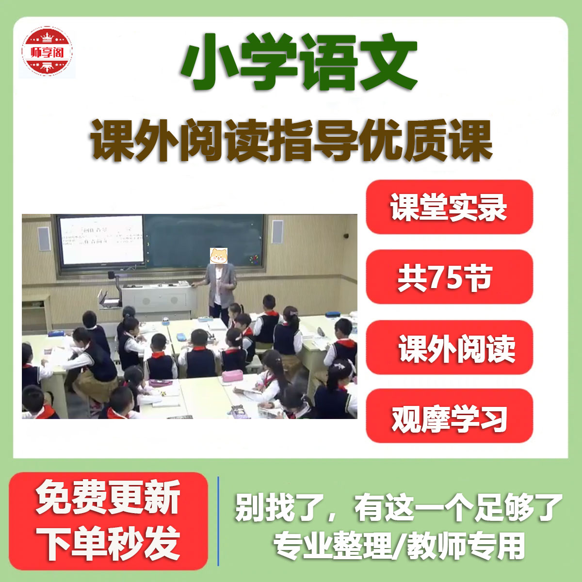 小学语文课外阅读指导名师优质公开课75节课堂实录视频教学观摩