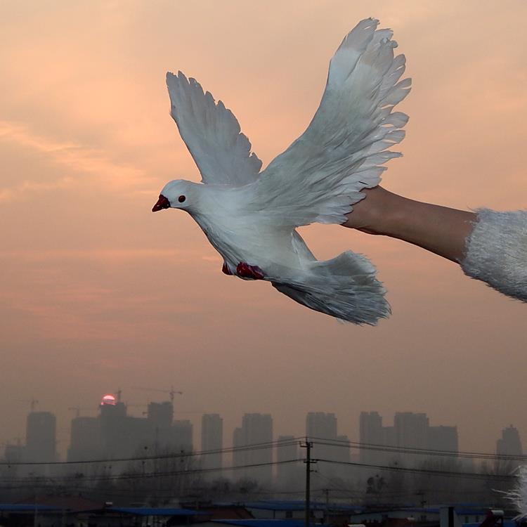 鸽子玩偶仿真鸽子摆件和平鸽假鸽子模型婚礼布置装饰道具鸟类标本