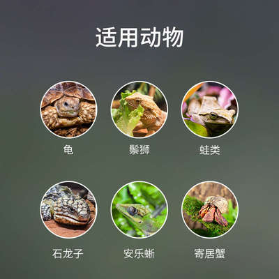reptizoo爬虫温湿度计蜥蜴守宫蛇陆龟爬宠饲养箱迷你电子湿度计