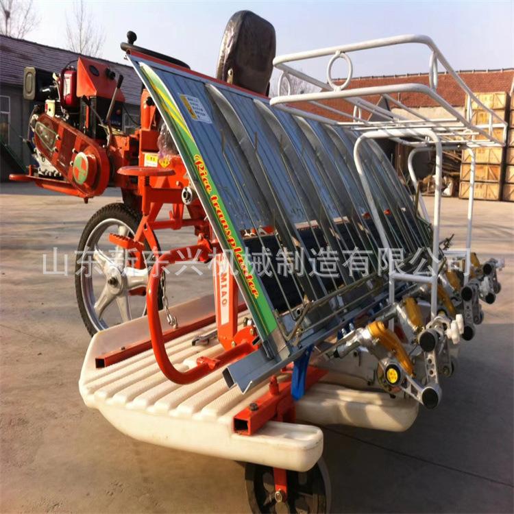 水高速水插秧机柴油款全自动稻稻插秧机 水稻栽苗 机