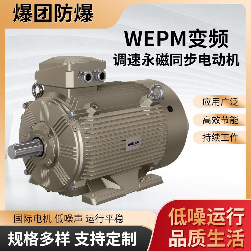 WEP变频M调速永磁同风电动机国际电机大功率 铁壳IE4水步泵机电机