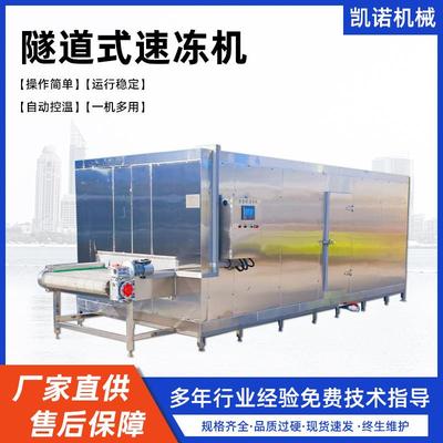 玉米粒青豆粒速冻设备肉类食品隧道式速冻机全自动速冻设备
