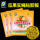 实蝇信息素粘虫板果蝇贴纸果实蝇诱粘剂粘板针蜂贴纸双面粘虫子纸