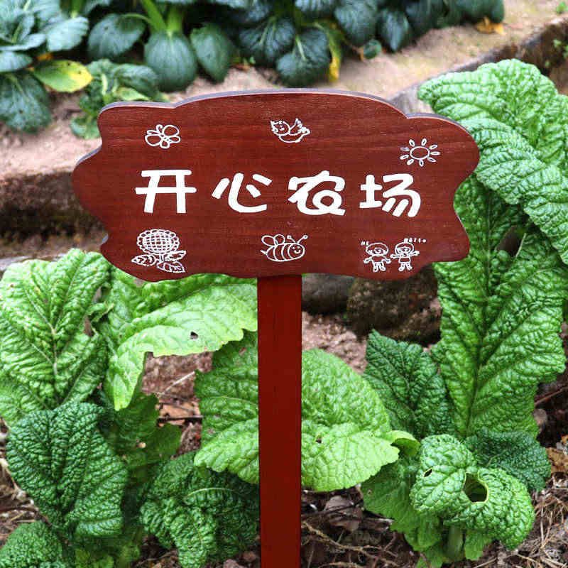 实木菜地花草植物插地牌户外木质警示标识牌幼儿园菜园种植区插牌图片