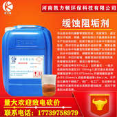 循环水缓蚀阻垢剂中央空调冷却塔锅炉防垢水处理管道反渗透阻垢剂