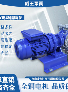 精品厂家不锈钢电动隔膜泵售后保证新款DBY-25电动隔膜泵厂家