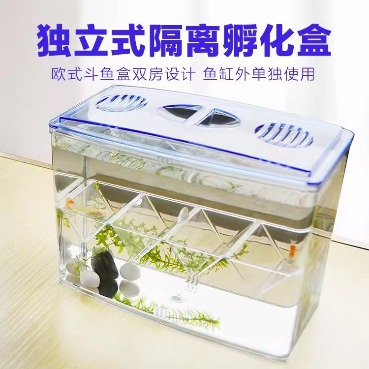 小鱼缸隔离盒二合一孔雀鱼产卵