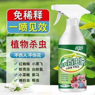 杀虫剂花卉植物通用月季花蚜虫蚧壳虫红蜘蛛杀虫药白色小飞虫药