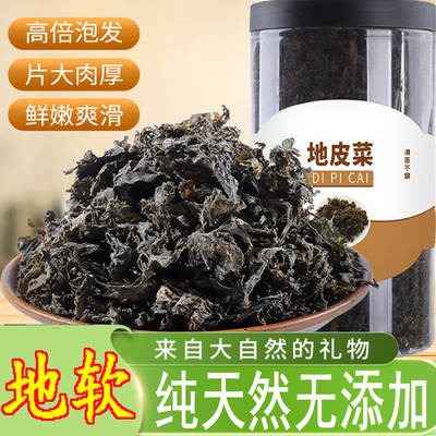 菌裕地皮菜地软地木耳地衣雷公菌