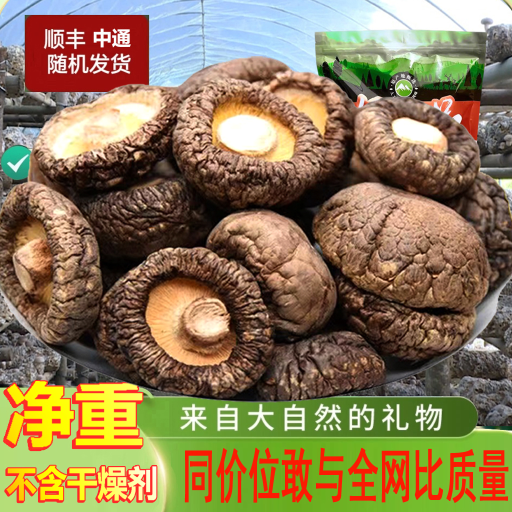 香菇新货肉厚冬菇干货净重发货