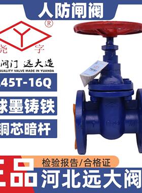 河北元大阀十字闸阀Z45T-16防护人体防暗棒铜芯硬密封dn80100150