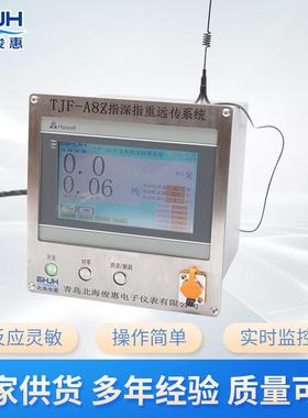 TJF-A8Z天轮指深指重系统 天车轮指深指重系统 测长测重系统