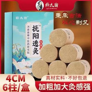 扶阳透灸仪专用艾柱4 5CM明火无烟艾灸30：1院用仪陈年温灸
