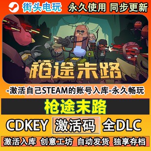 枪途末路steam正版 激活码cdkey全DLC游戏 自己账号在线玩