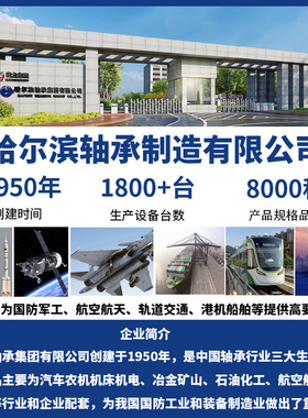 HRB 哈尔滨轴承 NU NJ NF N 218 219 220 221 222 EM 圆柱滚子