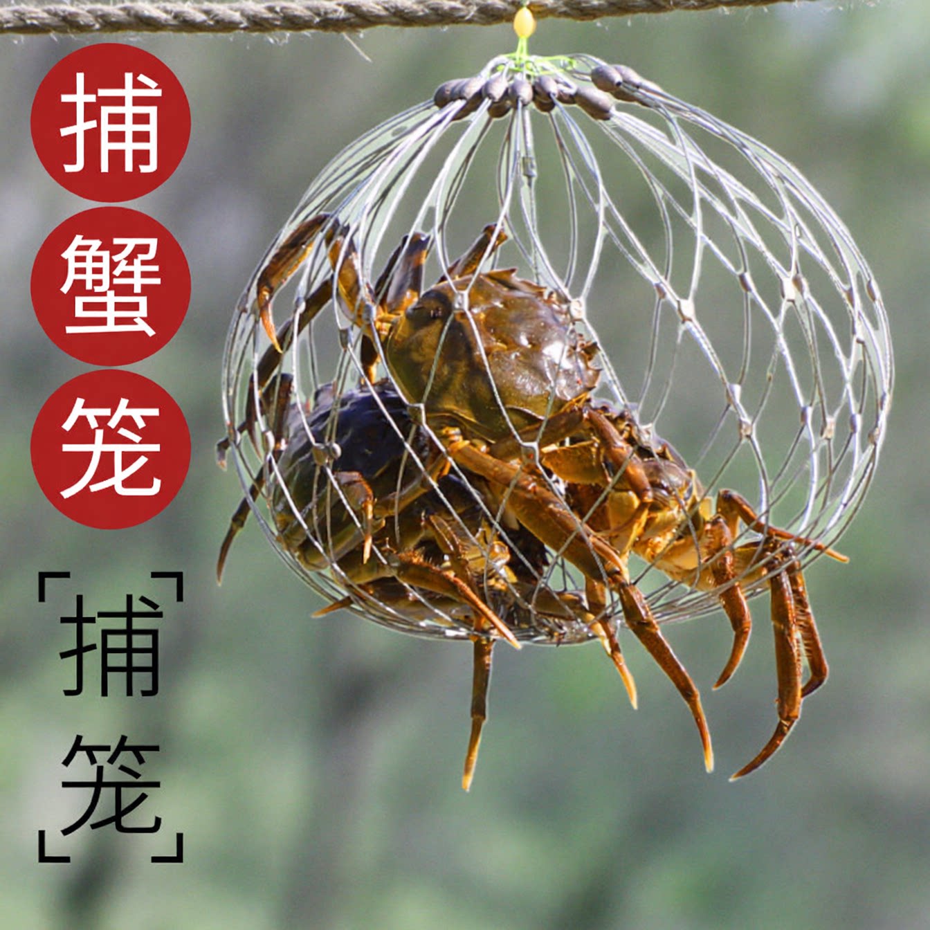 海用开合捕蟹笼抓大闸蟹梭子蟹图片