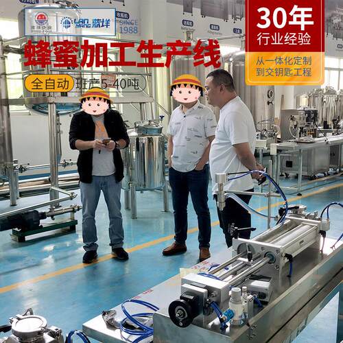 全自动蜂蜜生产线 蜂蜜低温加热过滤真空浓缩机 成套蜂蜜加工设备