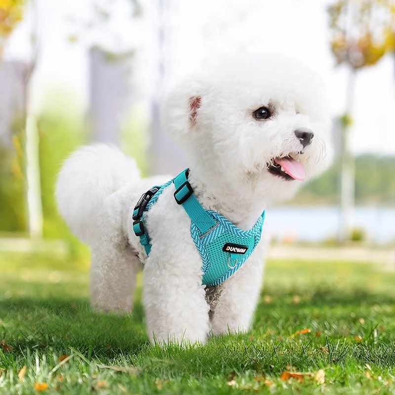 网红狗狗牵引绳小型犬比熊背心式遛溜狗绳幼犬泰迪胸背带狗链夏季