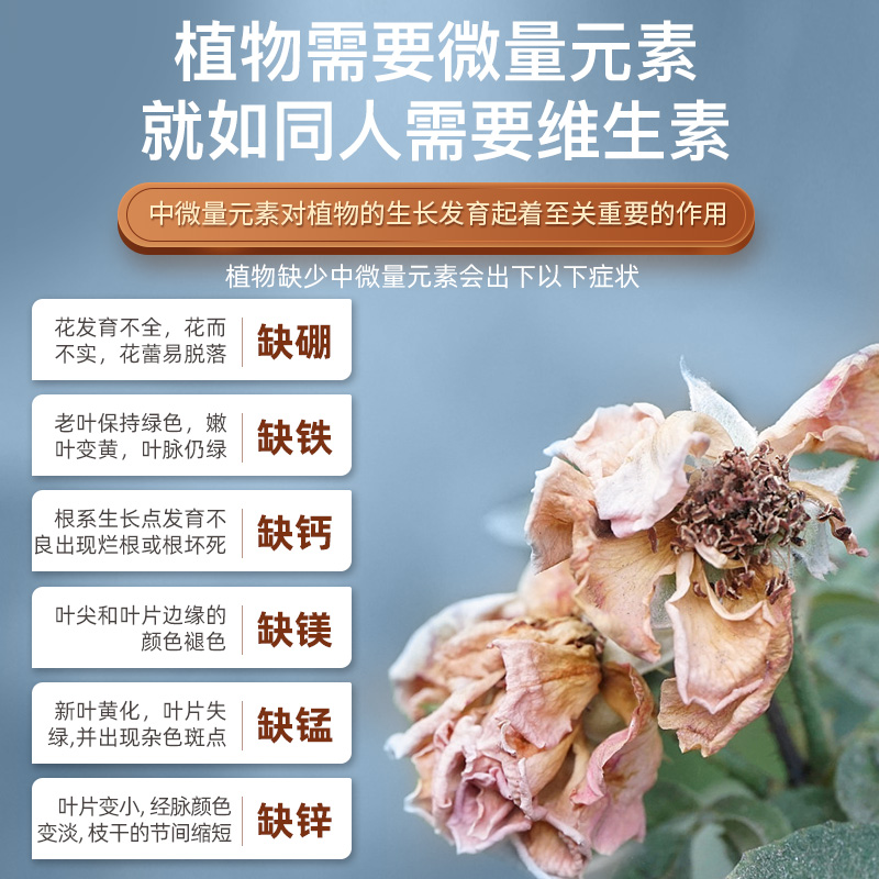 花多多2号1号月季兰花三角梅绣球花促花肥催花肥料开花水溶肥复合
