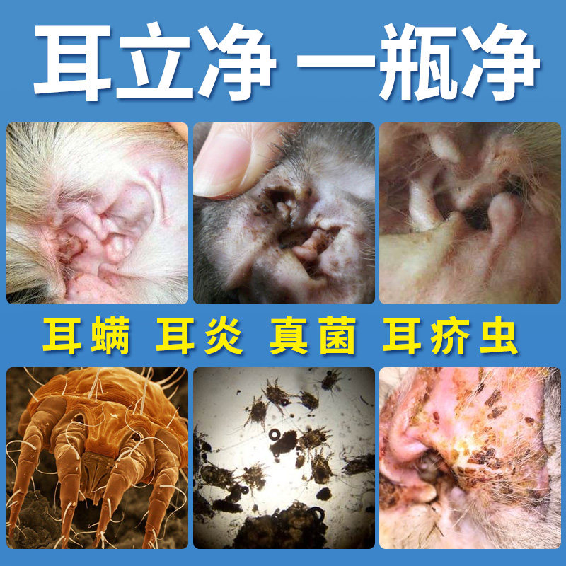 狗狗耳螨滴耳液泰迪猫用耳螨狗滴耳油宠物用品耳朵清洁猫咪洗耳液