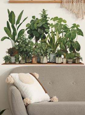 梵汐fun-c1热带绿植盆栽龟背叶卧室客厅墙面美化装饰墙贴纸